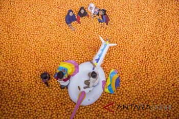 Wisata Centrum million Ball