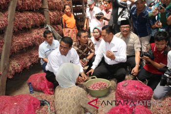 Pemkab Brebes ekspor bawang merah ke Thailand