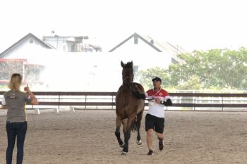 Asian Games - Equestrian, olahraga unik dengan modal fantastis