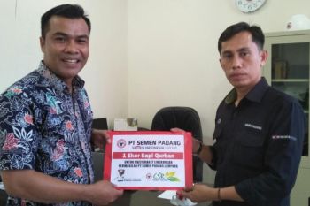 Semen Padang salurkan beasiswa-sapi kurban masyarakat Lampung