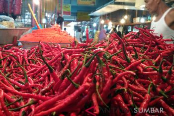Komoditas cabai merah sumbang inflasi di Bukittinggi