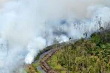 Dandim Ingatkan Masyarakat Jangan Bakar Lahan