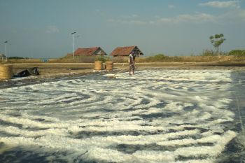 Petani garam Jepara keluhkan rendahnya harga garam