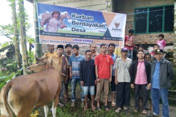 Baznas Agam salurkan hewan kurban untuk masyarakat pelosok