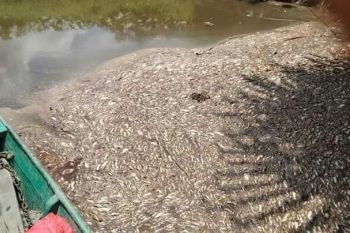 Pencemaran sungai Seranau resahkan warga