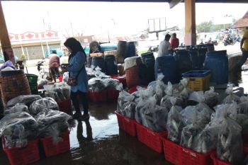 Nelayan mulai bongkar hasil tangkapan, aktivitas TPI Pekalongan menggeliat