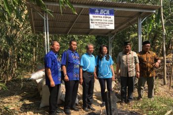 Petani Pemalang lirik budi daya tanaman jahe