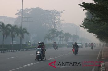 Karhutla di Kalimantan Selatan capai 1.084 hektare