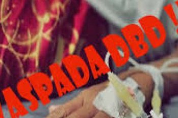 Hingga Juli 2020  terdapat  417 kasus DBD di Pekanbaru