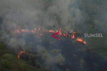 KLHK menangkan gugatan kasus kebakaran hutan Rp1,3 triliun