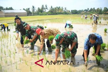 Kementan optimistis OKU Timur mampu capai target LTT
