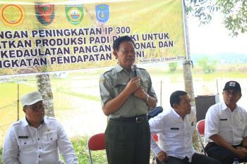 Kementan kerja sama Korem Gapo tingkatkan swasembada pangan