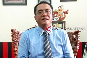 219 hektare lahan di Palangka Raya terbakar