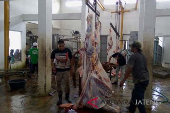 Warga sembelih hewan kurban di RPH Purwokerto