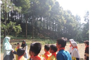 Pakar lingkungan:  setuju penutupan tambang emas ilegal