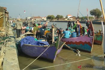 Sekali melaut, nelayan Jepara raup Rp1 juta lebih