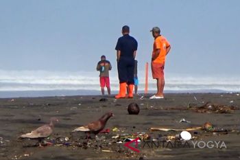 Kulon Progo tak mampu tangani sampah pantai