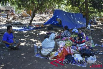 Seniman dan Diaspora galang dana untuk Lombok