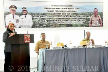 BPDP-KS remajakan 5.000 hektare sawit di Sulbar