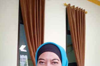 Investor asing bakal bangun pabrik senilai ratusan miliar rupiah di Batang