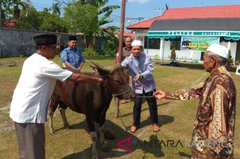 Dinsos Kalteng bagikan daging kurban ke sejumlah panti sosial