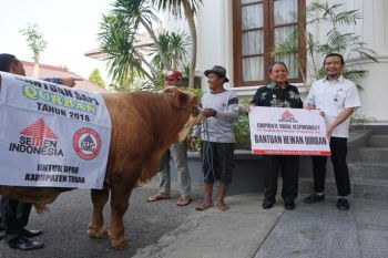 Semen Indonesia bagikan 167 hewan kurban