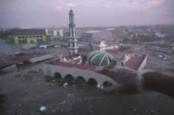 Ribuan warga Palu mulai balik ke rumah