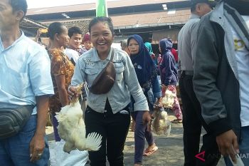 Harga merosot, peternak unggas Soloraya minta perlindungan hak usaha