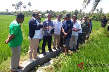 Komisi V DPR tinjau lokasi pembangunan jembatan gantung