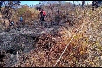 Dugaan pembakaran hutan Sindoro beredar di media sosial