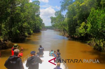 Disporbudrapar Mimika targetkan pembangunan ekowisata mangrove rampung sebelum PON