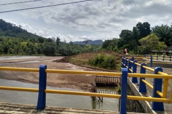 Sejumlah irigasi di Pasaman Barat kekeringan, petani kesulitan airi sawah