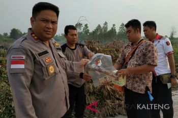 Empat warga Kotim jadi tersangka pembakar lahan