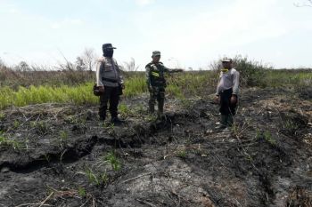 Bupati Supian Hadi dukung penindakan pembakar lahan ditingkatkan