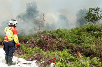 Kebakaran lahan di Kotim kembali marak