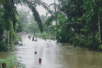 Banjir rendam sebagian daerah di   Pasaman Barat