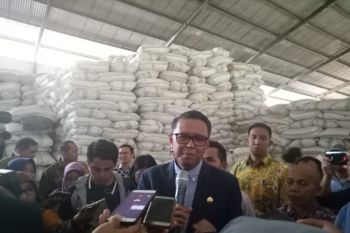 Gubernur Sulsel lepas ekspor bonggol jagung
