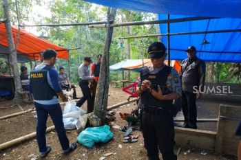 Polisi grebek arena judi sabung ayam