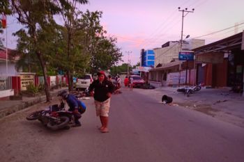 Ribuan warga Palu mulai kembali ke rumah
