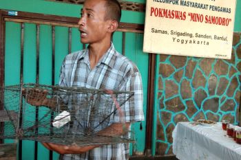 Satgas KKP datangi nelayan terjerat kasus menangkap kepiting