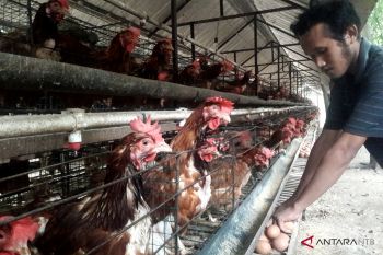 Jasa Raharja komitmen perkuat layanan publik