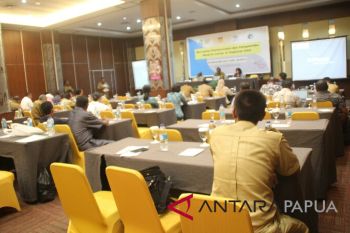 Dinkes Papua ajak berbagai pihak cegah malaria
