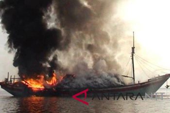 Ratusan ternak sapi tewas terpanggang dalam kapal Wahyu Ilahi