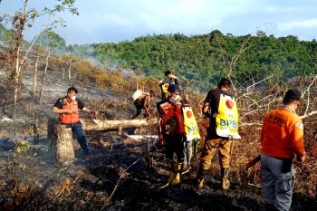Kebakaran lahan masih terjadi di Barito Utara