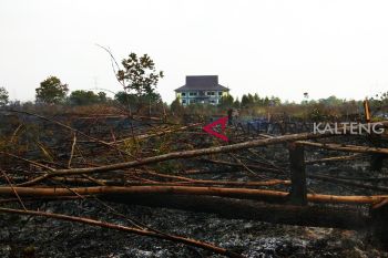 Kantor pemkot Palangka Raya nyaris terbakar