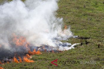 BMKG temukan 157 titik panas di Sumatera