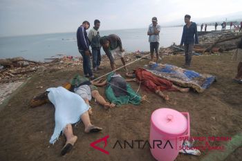 Korban gempa bertambah jadi 384 orang