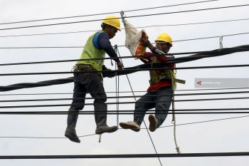 Perawatan Jaringan Listrik PLN