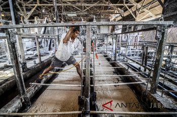 Produksi tepung Tapioka menurun