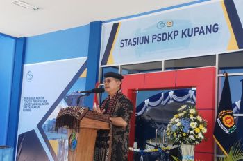 KPP berikan perhatian serius kepada NTT